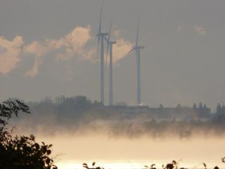 Morgennebel auf der Elbe (P1020886)