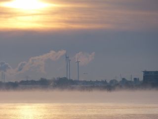 Blick auf die Elbe im Morgennebel (IMG_5512)