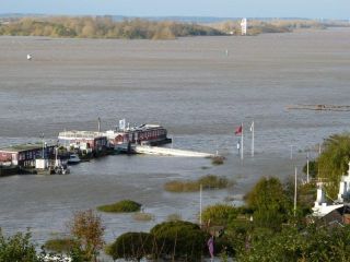 Hochwasser am Blankeneser Anleger, Ponton Op`n Bulln (P1320534)
